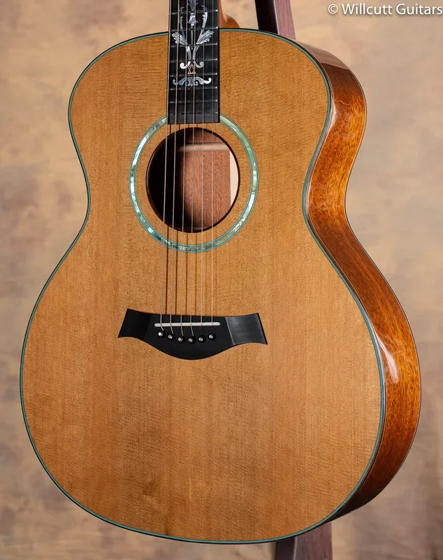 1994 Taylor XX-MC 20th Anniversary Limited Edition USED