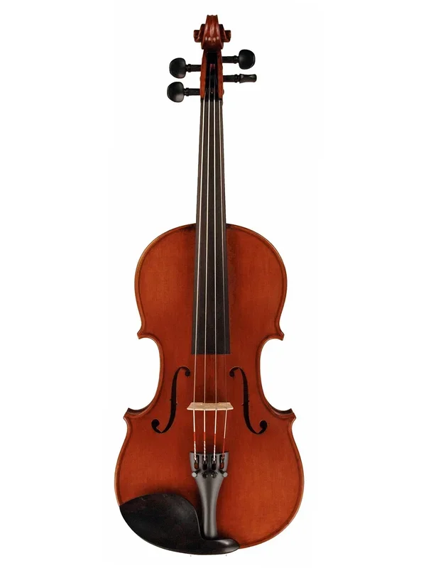 Artist Violin