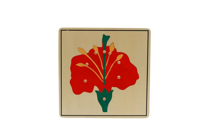 Botany Puzzle – Parts of a Flower