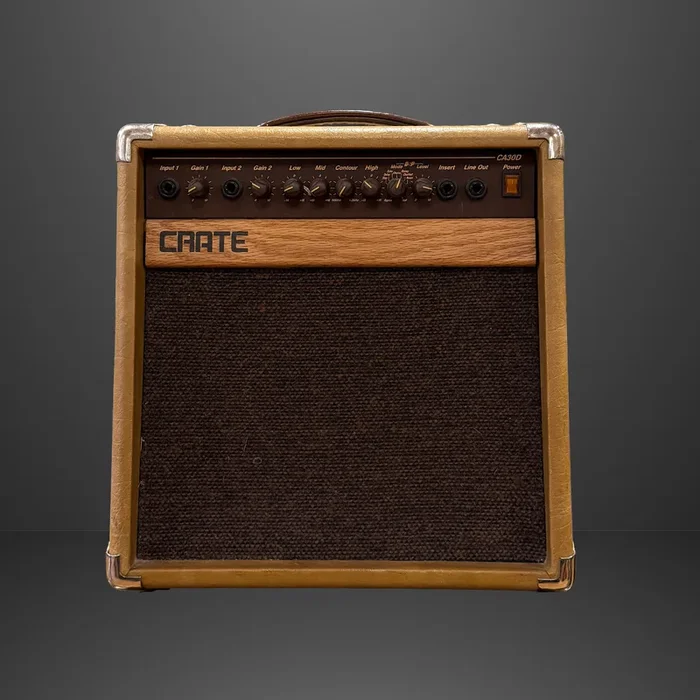 CA30D 30-Watt 1×8″ Acoustic Guitar Combo with DSP Effects, Recent