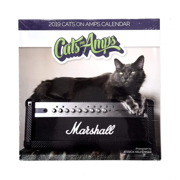 Cats on Amps 2019 Wall Calendar