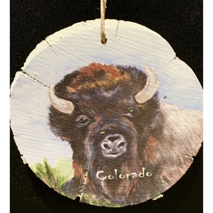 Colorado Buffalo
