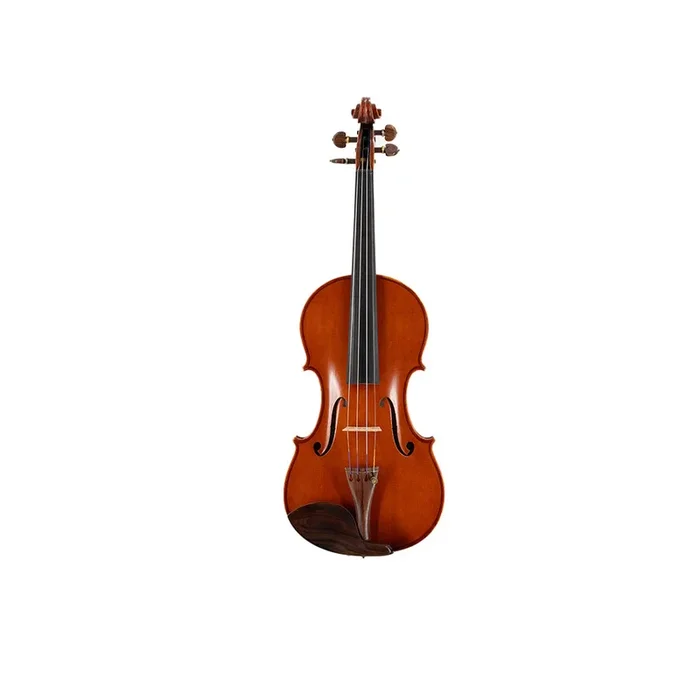 Consignment Angelo Spertzaga Violin