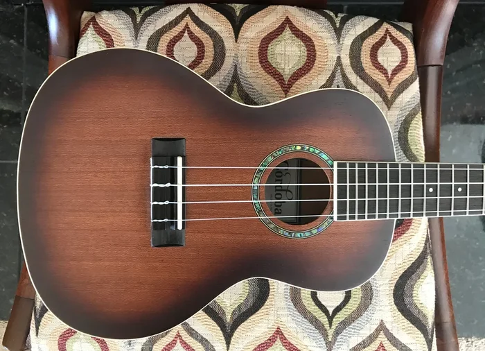 Córdoba 15CM-E Concert Ukulele