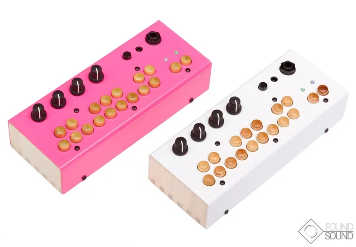 Critter & Guitari Bolsa Bass