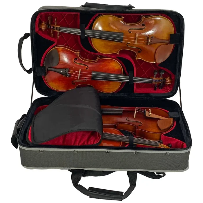 D’Luca Wooden Quad 4/4 Violin Case