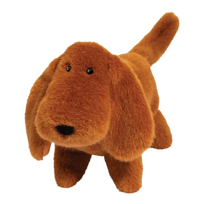 Dale dachshund muzzle