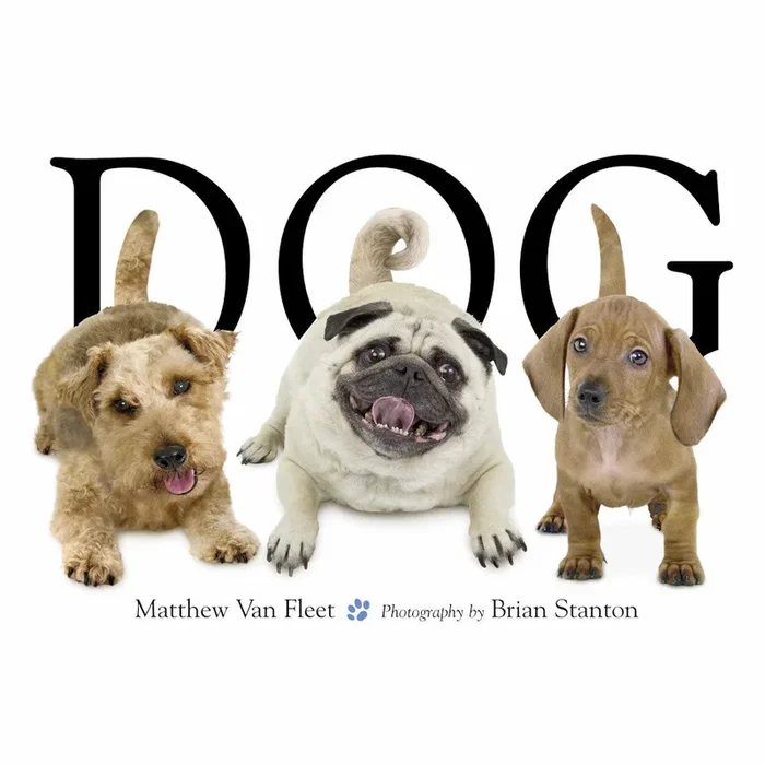 Dog board book
