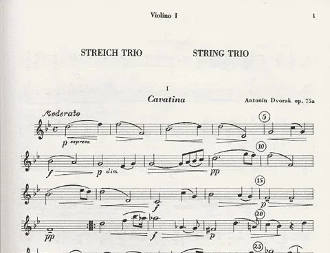 Dvorak, A.: Sting Trio in B flat Major, Op.75a (2 violins, and viola)