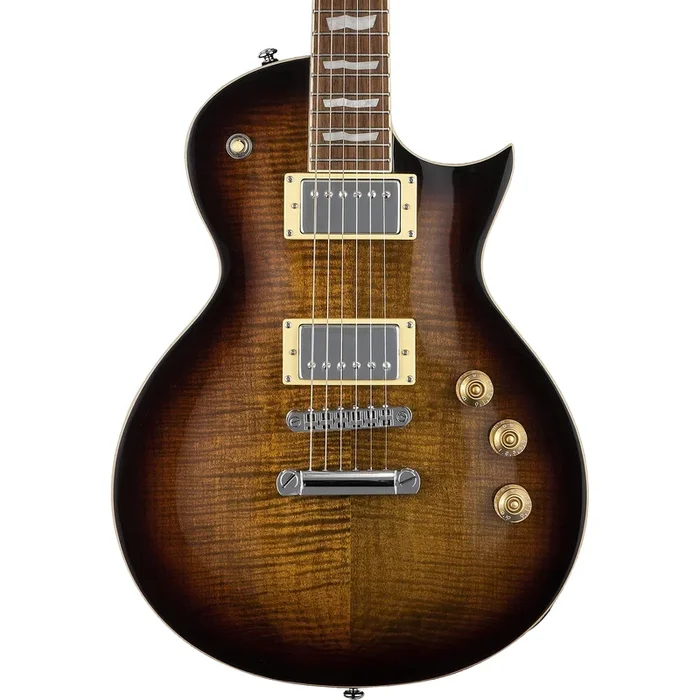 ESP LTD EC-256FM DBSB Singlecut FM Electric Guitar, Dark Brown Sunburst