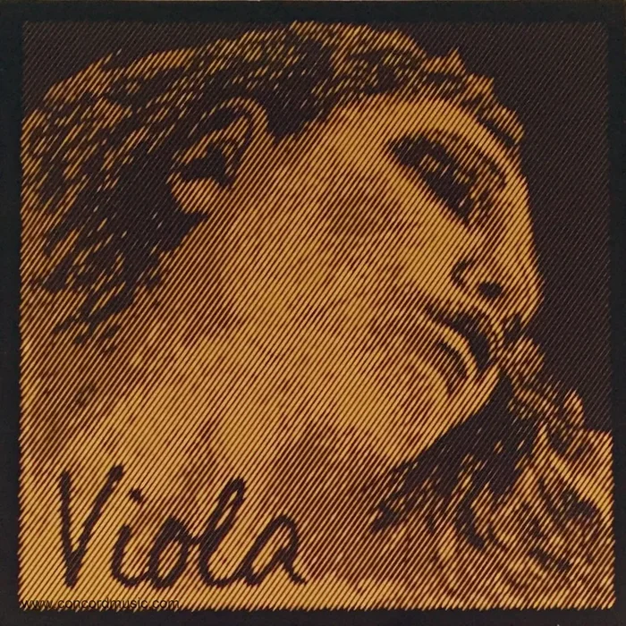 Evah Pirazzi Gold Viola D String Rope Core