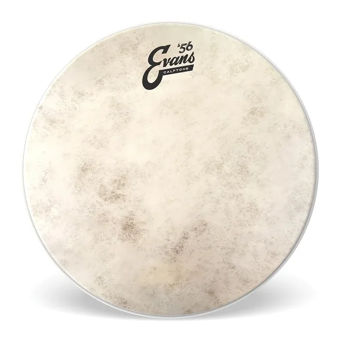 Evans Calftone Calftone Drumhead 15″