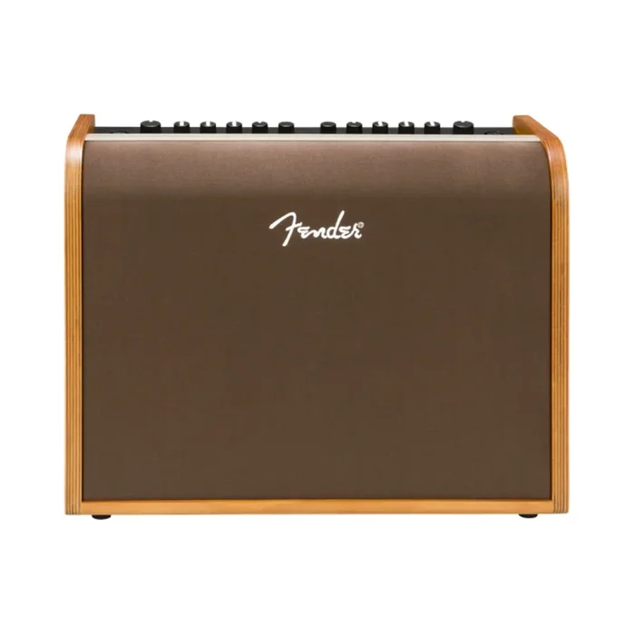 Fender Acoustic 100 Guitar Amplifier