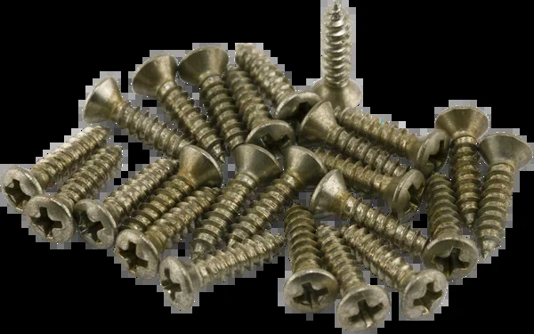 Fender Road Worn Pickguard/Control Plate Screws (24)