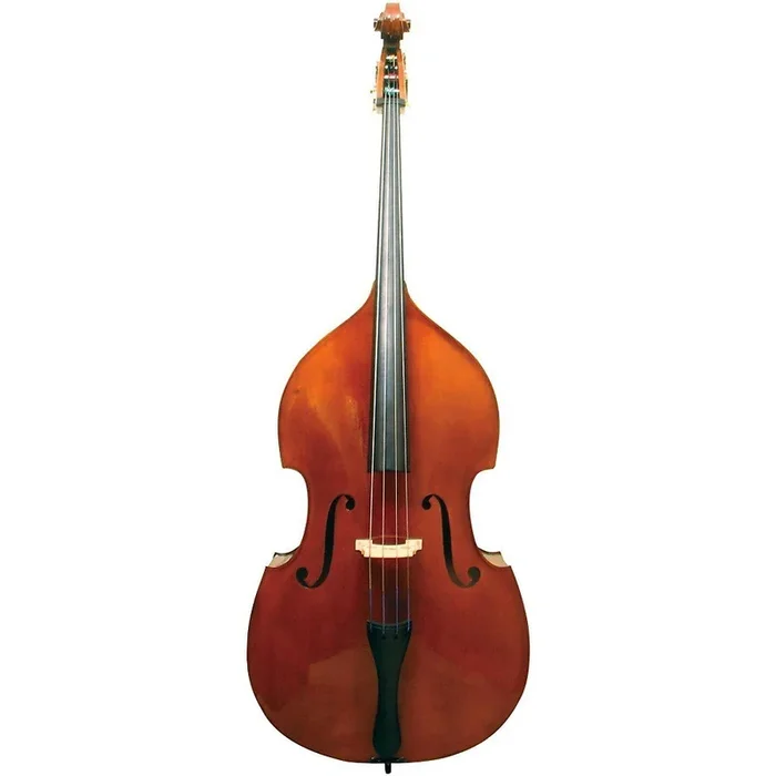 Fiori 3/4 Bass Outfit Opus 1