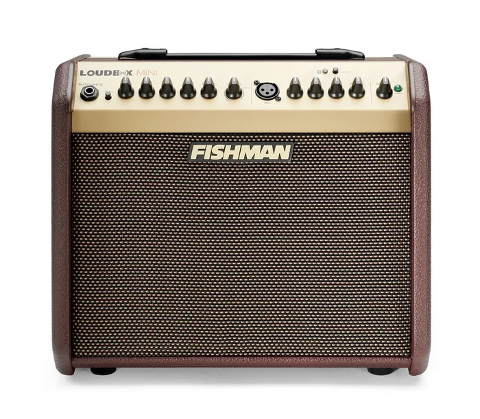 Fishman Loudbox Mini with Bluetooth Amplifier