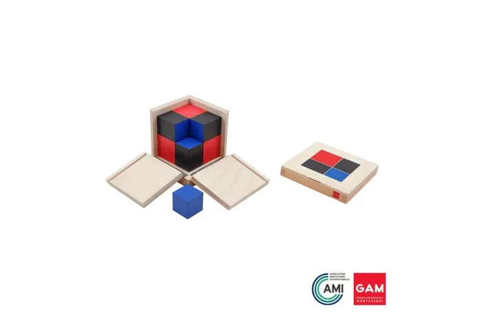 GAM – Binomial Cube
