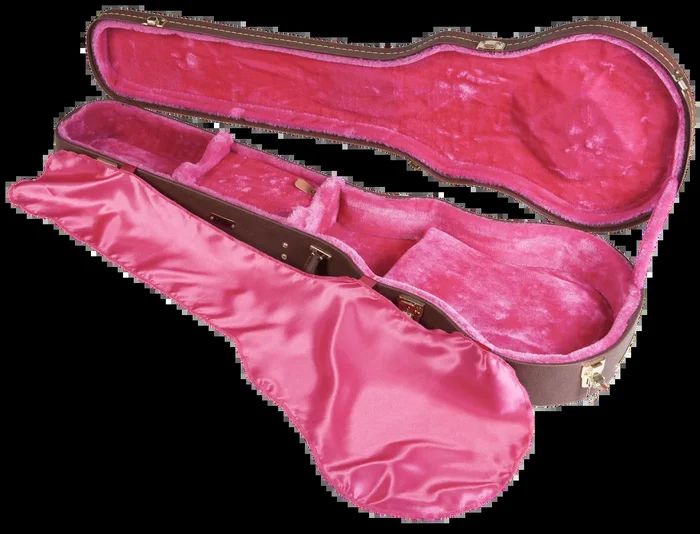 Gator Deluxe Wood Case for Single-Cutaway Guitars Vintage Brown Exterior