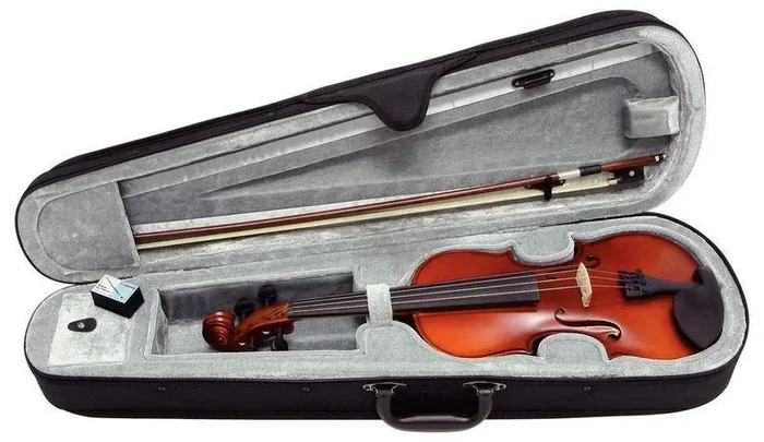 Gewa Pure Violinset EW 1/2
