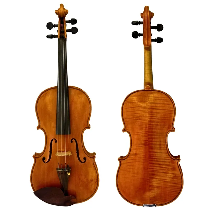Giustino Dal Canto Violin