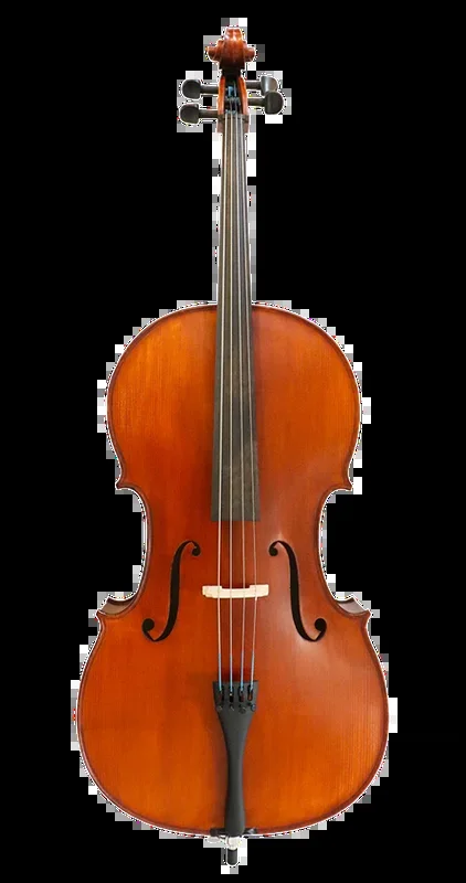 Gliga I Cello Outfit 4/4