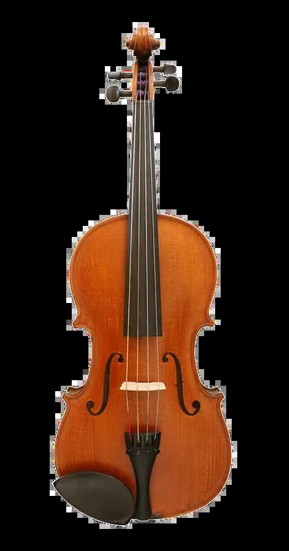 Gliga I Viola Outfit with Antique Varnish 15.5″