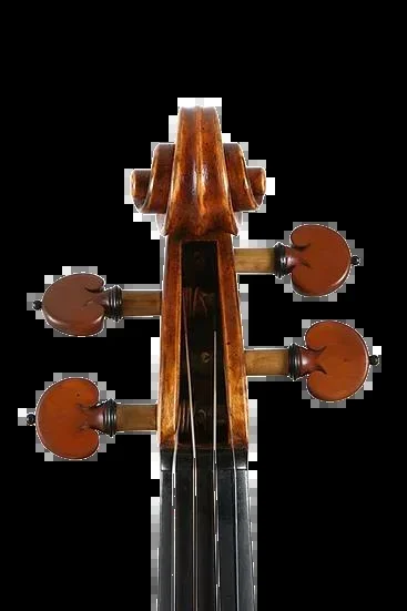 Goed Zo! (Neridah Oostenbroek) for String Orchestra