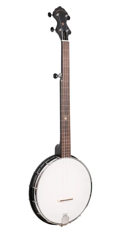 Gold Tone AC-1FL Fretless Acoustic Composite 5-String Openback Banjo