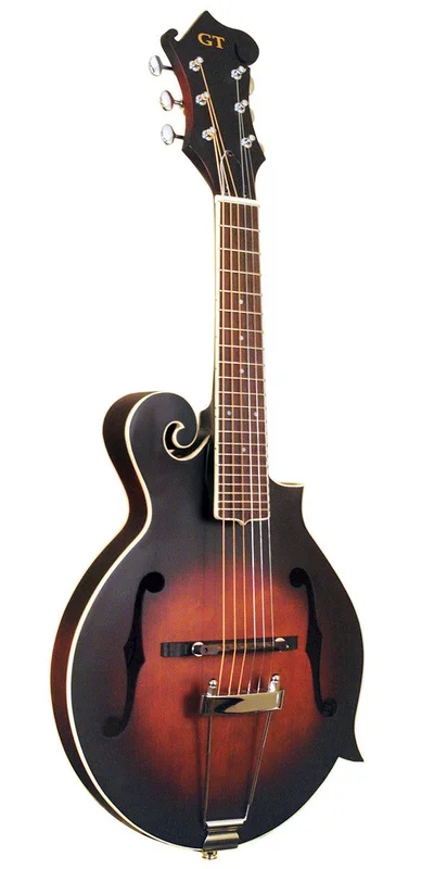 Gold Tone F-6 6-String F-Style Mandolin Guitar