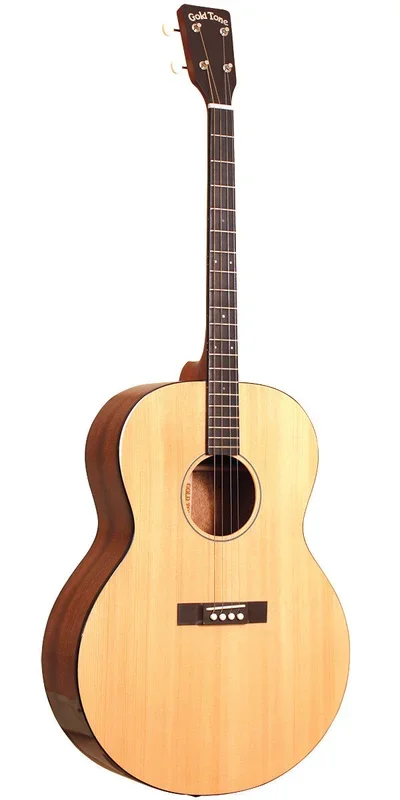 Gold Tone TG-18 tenor Guitar