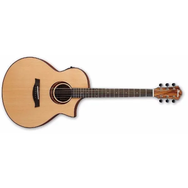 Ibanez AEW14LTD4 Acoustic-Electric Guitar