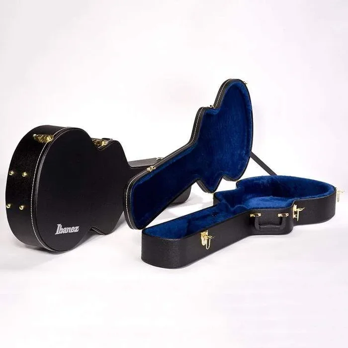 Ibanez AM100C Semi-Hollow Body Case