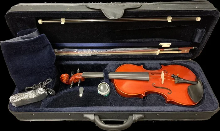 Irish Fiddle Michael John 4/4 Size Superior Italian Designed Outfit