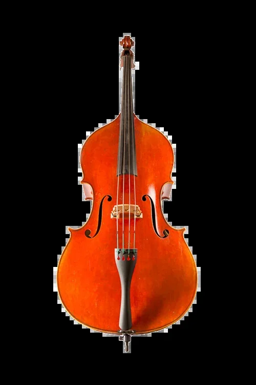 Jay Haide L’Ancienne Double Bass German Model 3/4