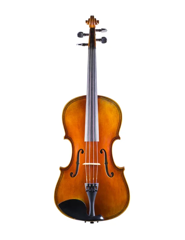 JAY HAIDE MAGGINI MODEL – 15.5″ VIOLA