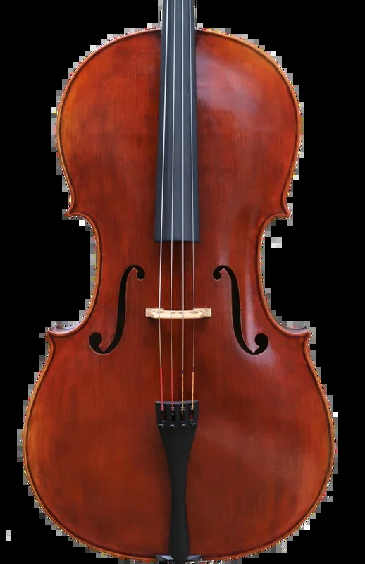Jay Haide Statue Cello Stradivarius Model with European Timbers 4/4