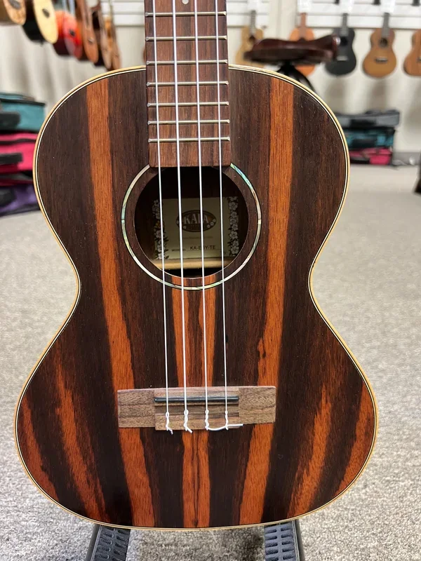 KALA KA-EBY-TE Ebony Electric Tenor Ukulele w/Case – Pre Loved
