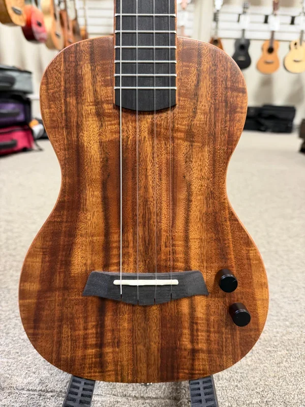 KALA KA-SB-ACA-T Solid Body Acacia Tenor Ukulele w/Case
