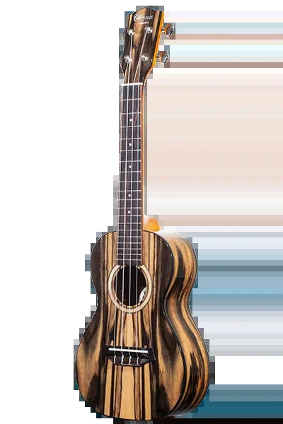 Laminate CK-150BWE Black and White Ebony Concert