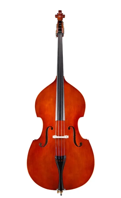 LIVS Standard Bass Rental – Initial 3-month Cost