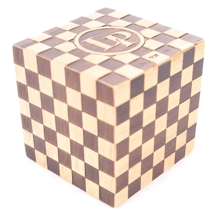 LP Latin Percussion Qube Shake Live