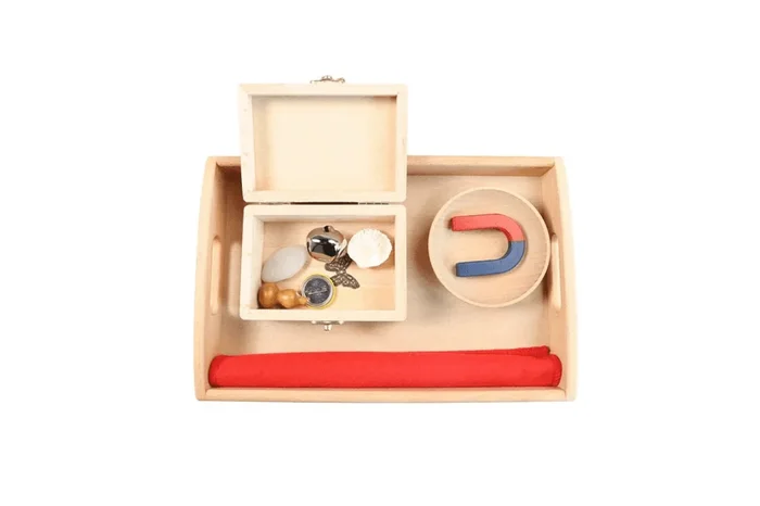 Magnet Activity