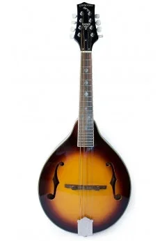 Mandolin McBrides