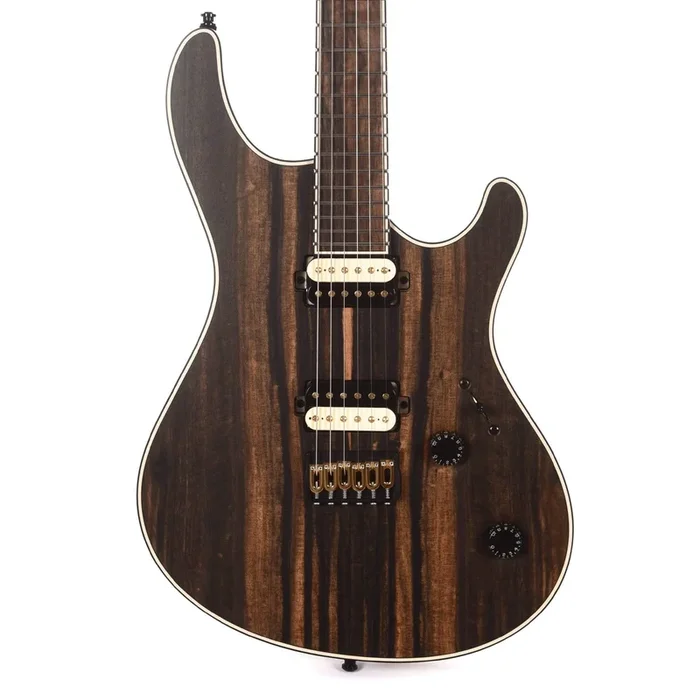 Mayones Regius 6 Royal Ebony Natural Matt