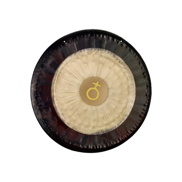 Meinl 28″ Earth Gong Platonic Year