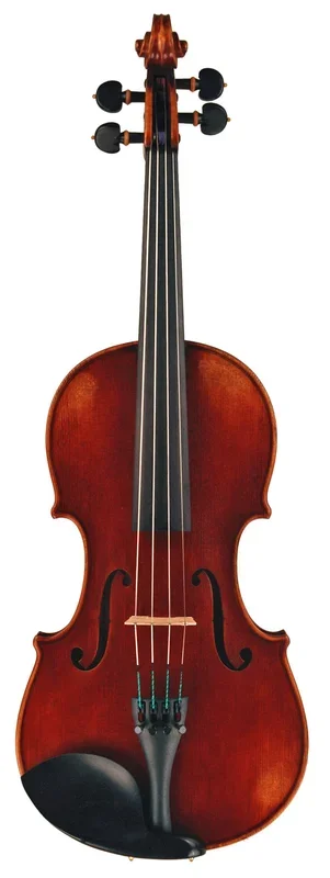 Michael Todd III Viola