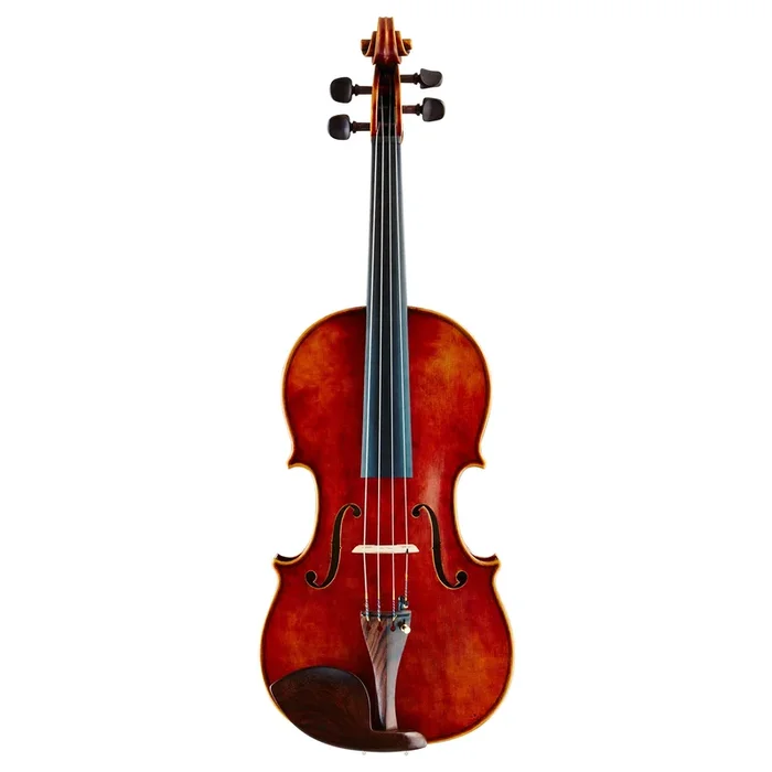 Nicolo Gabrieli Soloist Viola