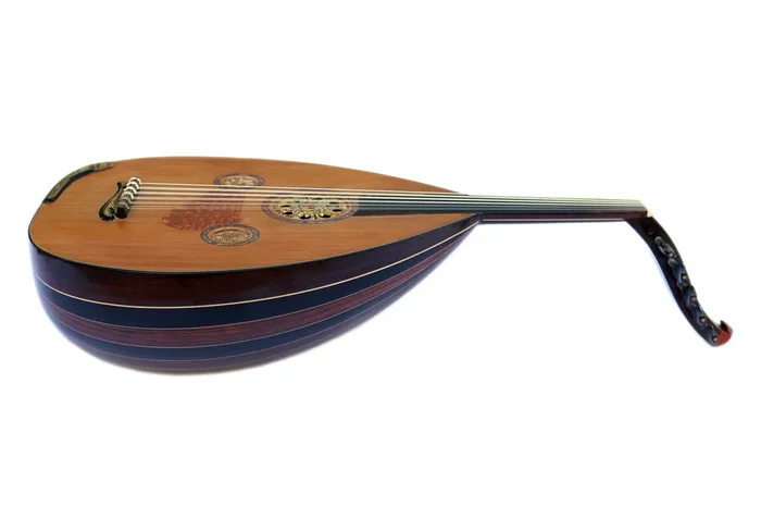 Oud arabe spécial palissandre ébène CM-5