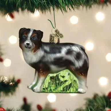 OWC – Australian Shepherd