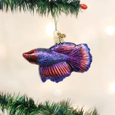 OWC – Betta Fish